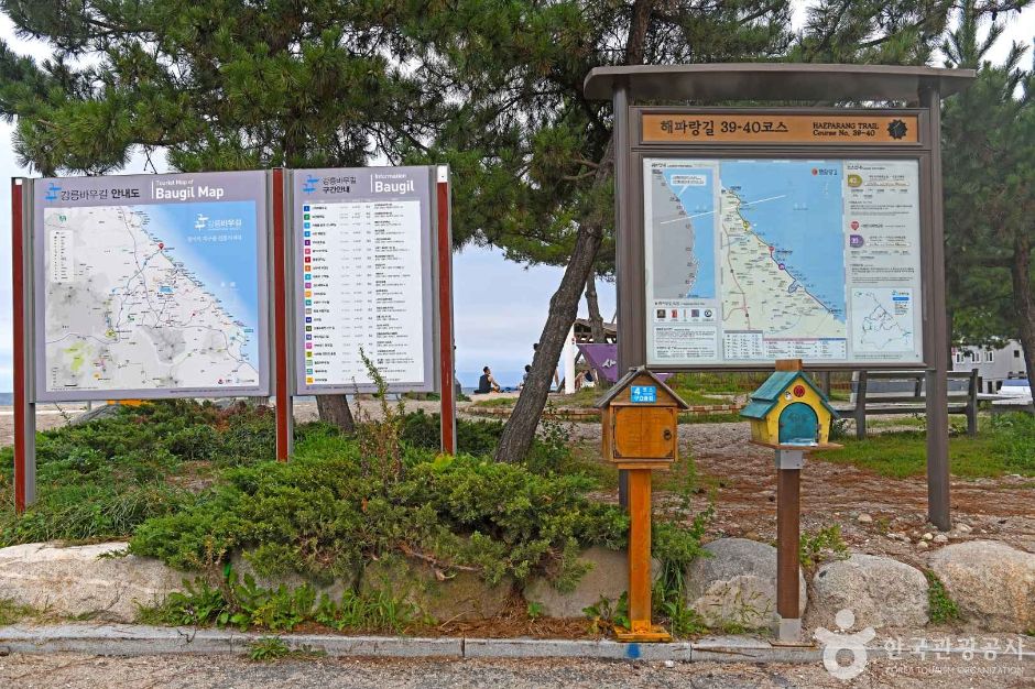 [강릉 바우길 5구간] 바다 호숫길