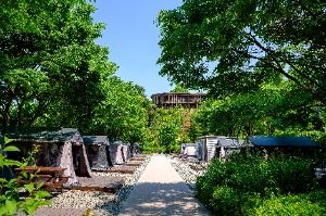 Zona de Acampe Familiar Gangdong Green Way
