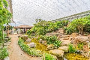 Jardín Ewhawon de la Isla Jarasum