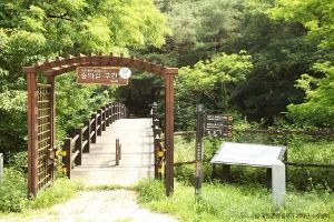 [북한산 둘레길 12구간] 충의길