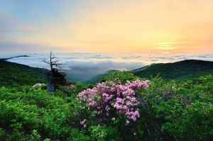 함백산