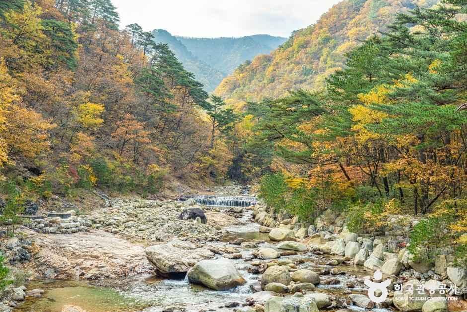 설악산 오색주전골