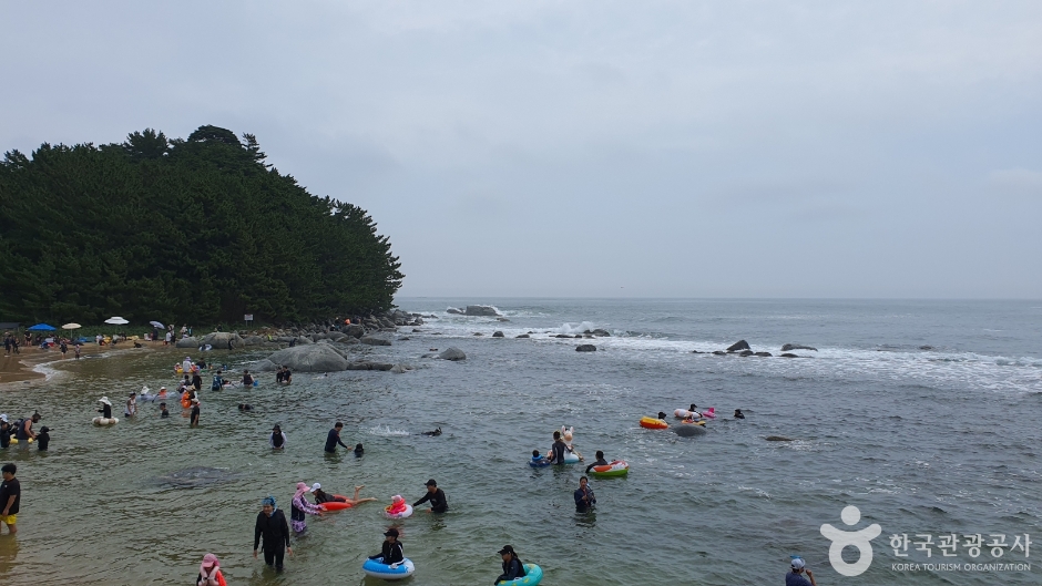 마차진해변