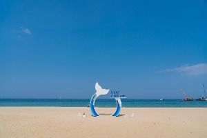 삼척해변