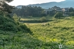 강릉 굴산사지