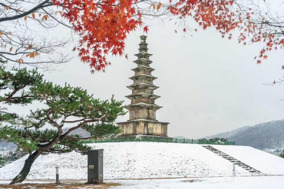 충주 탑평리 칠층석탑