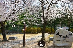 국립대전현충원 보훈둘레길