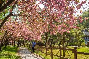 금오산도립공원