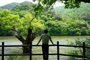 주산지(청송 국가지질공원)