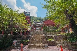 도림사(곡성)