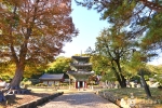 쌍봉사(화순)