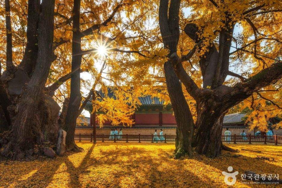 ソウル文廟と成均館