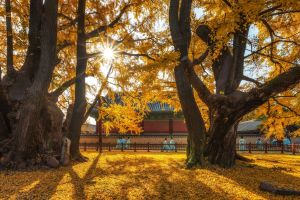 ソウル文廟と成均館