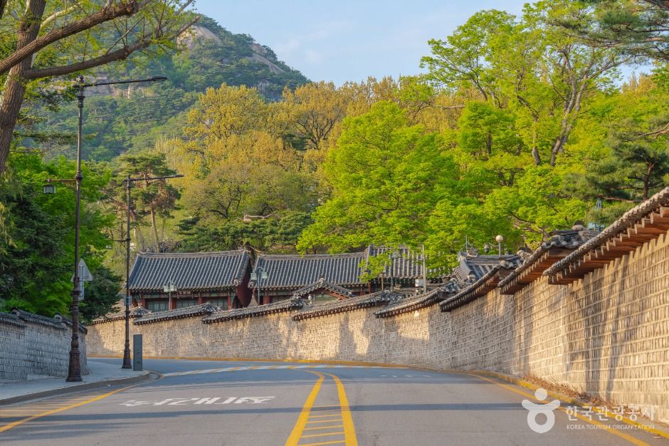 청와대 앞길
