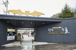 Cheongok Golden Bat Cave