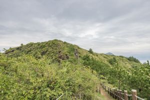 송악산