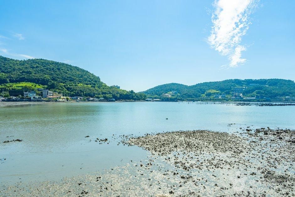 돌산 평사리 고니도래지