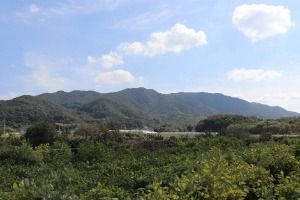 위례산과 위례성지