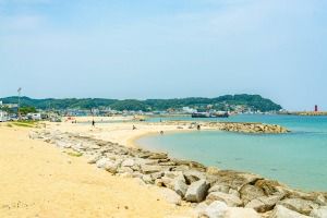 거진11리해변
