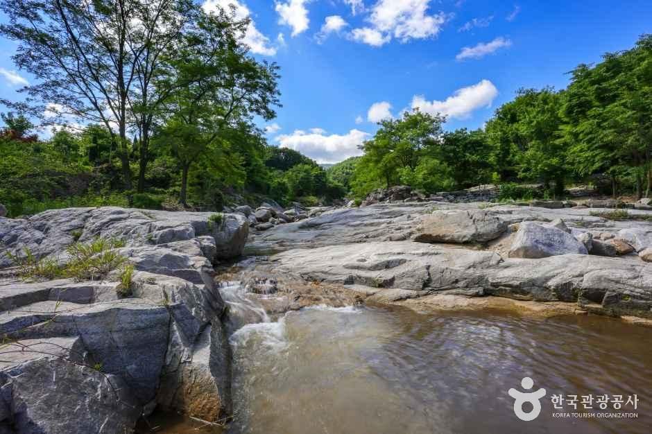 동산계곡