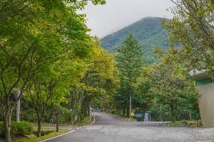 臥龍自然休養林