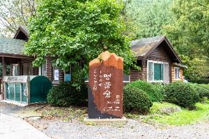 Huirisan Pine Tree Recreational Forest