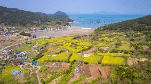 청산도