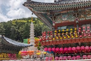 삼광사