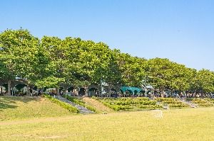 진위천유원지