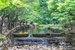 高山自然休养林