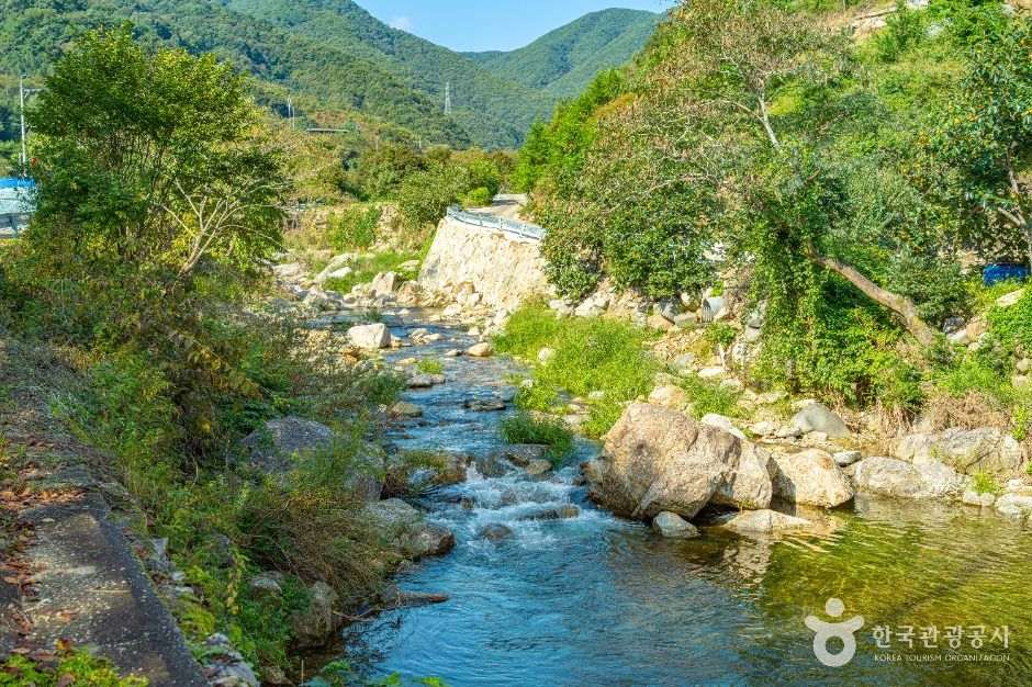 고운동계곡