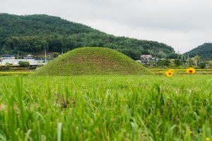 나주 복암리 고분군