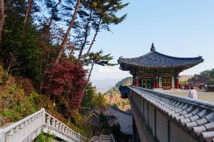 구인사(단양)