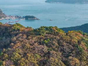 망산