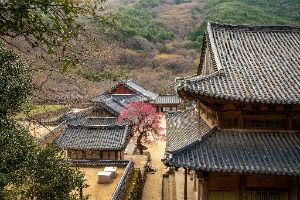 화엄사