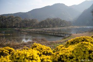 宁越薪桥村