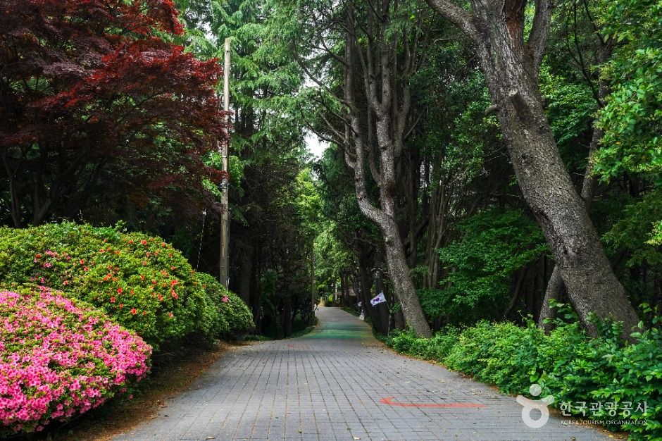 산호공원(용마공원) 시의거리