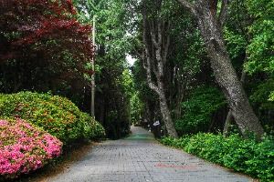 산호공원(용마공원) 시의거리