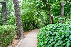 학성공원