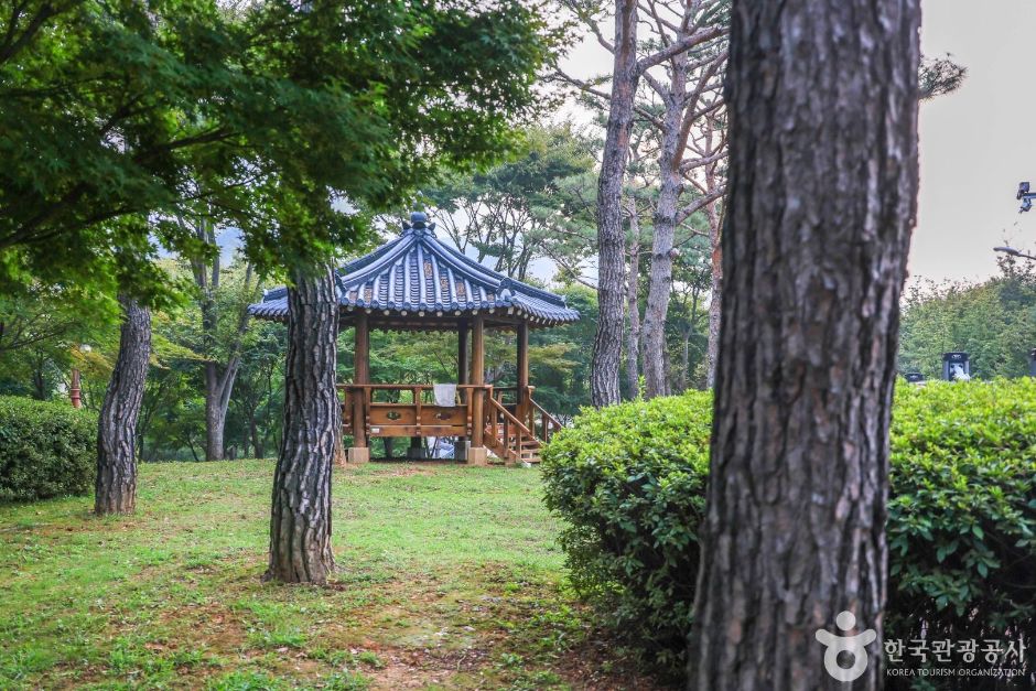 솔밭공원(안성)
