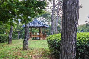 솔밭공원(안성)