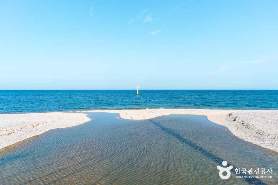 전촌솔밭해변