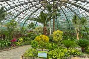 Mulhyanggi Arboretum