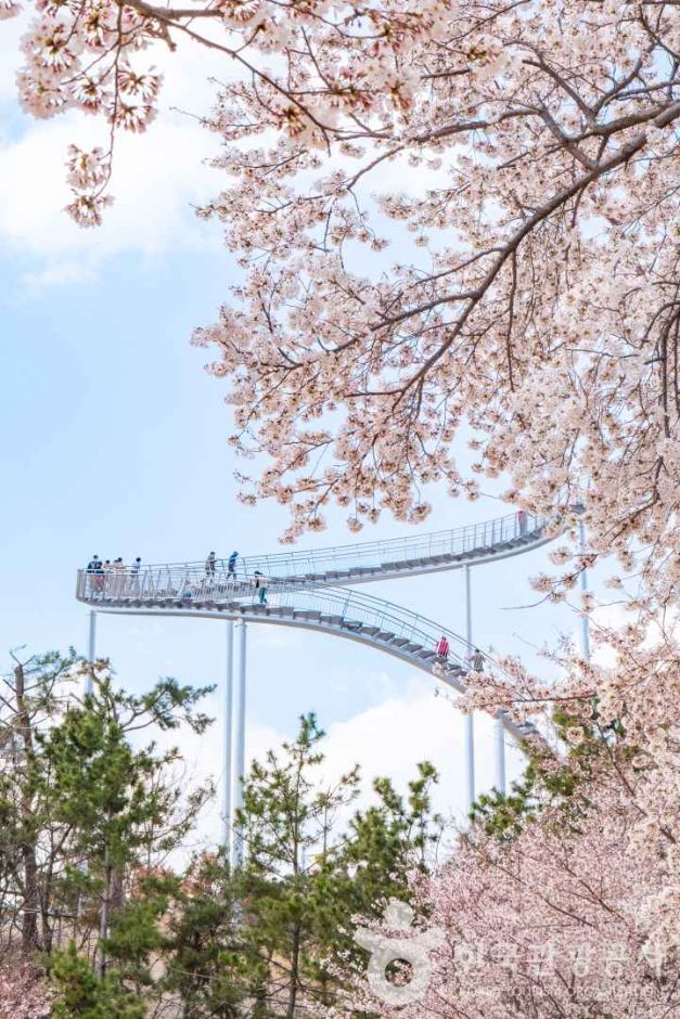 환호공원