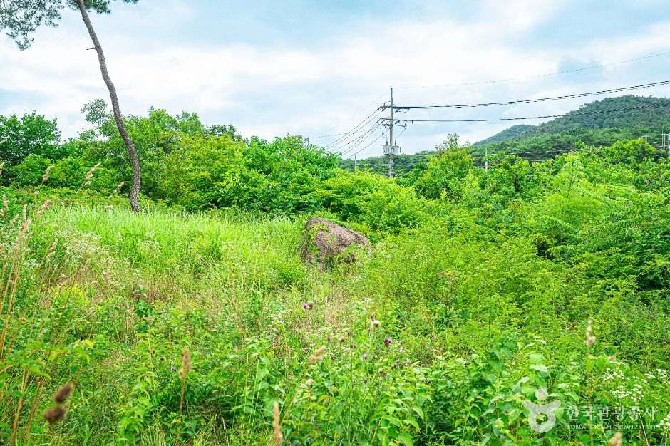 삼거동 고인돌