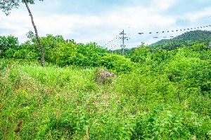 삼거동 고인돌