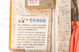 서귀포 용왕난드르마을