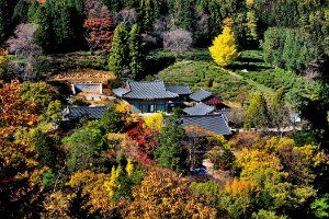 봉명산시립공원