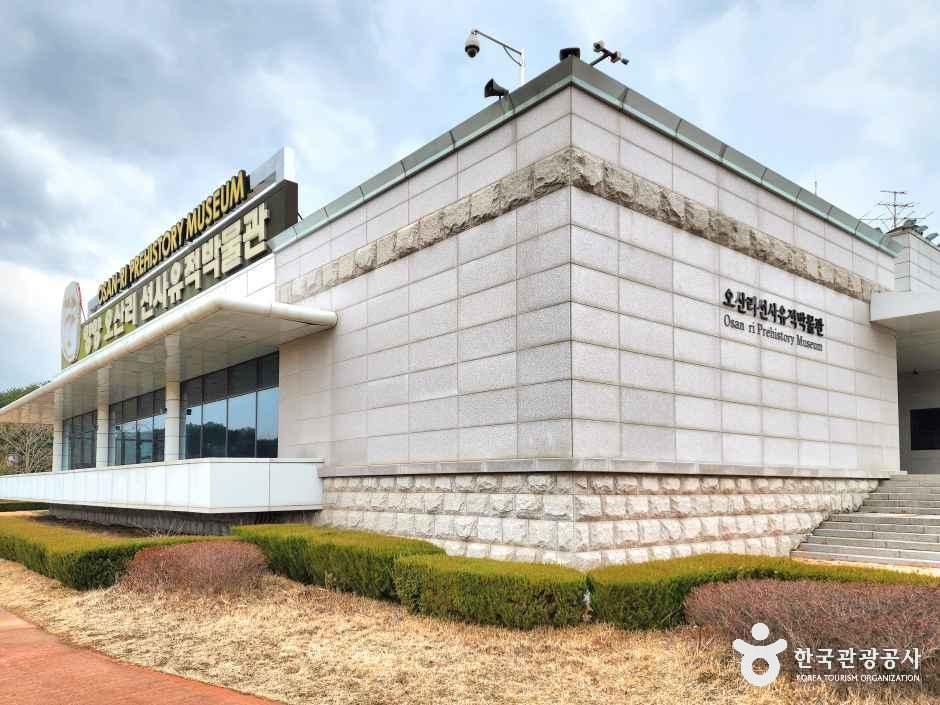 오산리선사유적박물관