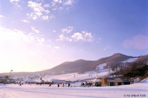 지산 포레스트 리조트 스키장